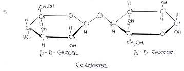 From wikimedia commons, the free media repository. Organische Chemie Kohlenhydrate Disaccharide