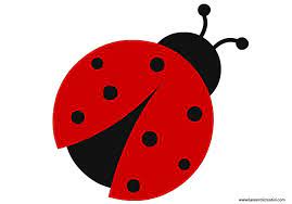 Addobbi Di Primavera Coccinella Coccinella Coccinella In Feltro Progetti Artistici Per Bambini