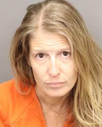 Tampa lawyer faces child neglect charges after kids left