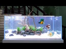 Two things you don't really move that often by themselves placed into one thing. 9 Diy Aquatic Table Centerpiece Ideas And Inspirations Cradiori