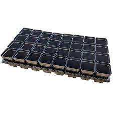 We did not find results for: Square Plant Pot 6 6 Mondi Products