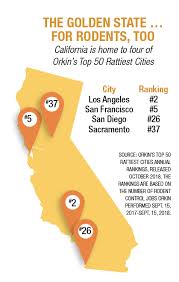 Clark pest control treats for ants, spiders, cockroaches, beetles, fleas, silverfish, bed bugs, termites, mice, rats and more. Industry Advocates Weigh In On California S Proposed Rodenticide Ban Pest Management Professional