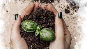 The un environment programme (unep) annually organizes events for world environment day, which encourages worldwide awareness and action for the protection of the environment. Lclcmw8vql82em