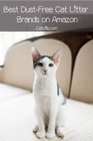 How long is your delivery time9 a: Top 10 Best Dust Free Cat Litter Brands With Reviews Catvills In 2020 Cat Litter Brands Cat Behavior Free Cats
