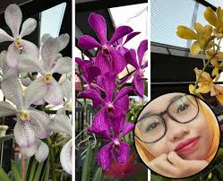 Penyakit jantung merupakan penyakit yang dapat menyerang siapa saja, tidak melihat dari usia, jenis kelamin, bahkan ras. Peminat Bunga Ni Turunkan Ilmu Jaga Pokok Orkid Ada 6 Tip Perlu Buat Keluarga