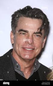 Peter Wilde's Instagram, Twitter & Facebook