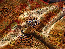 It's simply too easy for these types of assistive devices to the ultimate purpose in removing rugs from the home is fall prevention. 10 Environmental Hazards That Cause Older Adults To Fall How To Avoid Them Health Care Associates Community Care Givers