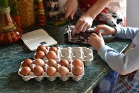 La cocina es el arte gastronómico, compuesto de recetas, técnicas o información sobre los alimentos que consumimos, propiedades y nutrientes. Cursos De Cocina Para Ninos