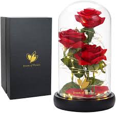 Check spelling or type a new query. Amazon Com Beauty And The Beast Rose Flowers Artificial Flower Rose Gift Led Light String In Glass Dome Warm Light Mode Unique Gift For Her Anniversary Wedding Multi Use For Home Office Or Home