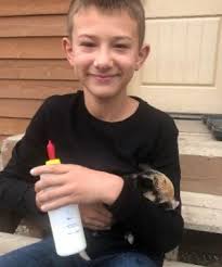 IPP Press Quarterly Newsletter