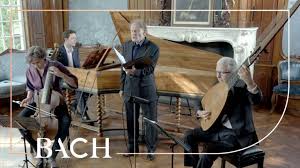 Изучайте релизы the netherlands bach society на discogs. Netherlands Bach Society This Is Classical Guitar