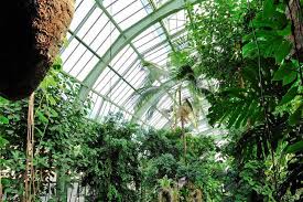 Les tarifs horaires varient par exemple entre paris et strasbourg. Grandes Serres Du Jardin Des Plantes Museum National D Histoire Naturelle