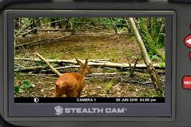 Download the latest software patches for your stealth cam model. Best Sd Card Viewer For Trail Cameras Buying Guide 2021