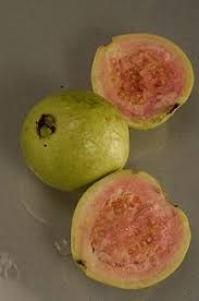 Berdasarkan berbagai manfaat jambu kristal di atas, dapat. Jambu Biji Wikipedia Bahasa Indonesia Ensiklopedia Bebas