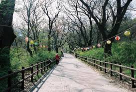  Pin Di Korea My Love