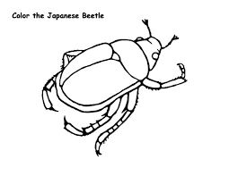Pin On Beetle Coloring Pages