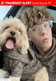 Found dog Grand Rapids Burton area. Looking for owner.  https://www.facebook.com/groups/grandrapidslostfoundpets/permalink/1599180683872887/ 