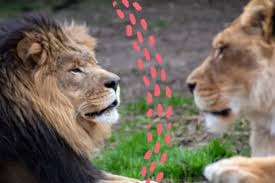 Conscious Copywriting : Finding the right words