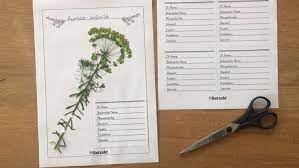 Von der plattform freepik, achtung: Herbarium Anlegen Tipps Vorlagen Betzold Blog