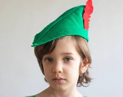 Adult PETER PAN Costume Tunic and Hat (neverland)