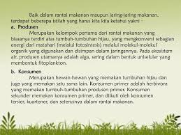 Daun ulat burung gelatik elang 3. Rantai Makanan Dan Jaring Jaring Makanan Ppt Download