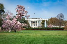 20 secret gardens and green spaces in washington, d.c. The First Ladies The Healing Gardens Of D C Health Journal