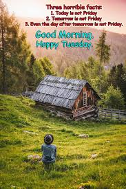 You may not like tuesday because it is also full of responsibilities just like its brother monday. Top 50 Good Morning Happy Tuesday Quotes With Images Good Morning Fun
