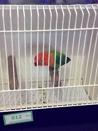 Checking 'include nearby areas' will expand your search. News Show Results