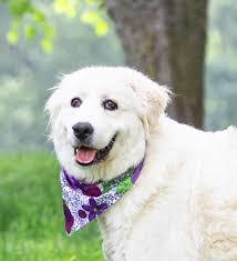 Diane Kucinski's Instagram, Twitter & Facebook