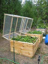 Fencing is the most effective (and sometimes only!) way to keep unwanted visitors out of your garden. Strawberry Bed Protection Vegetable Garden Beds Vegetable Garden Design Small Vegetable Gardens
