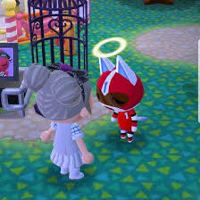 Kid Cat And Samshine In Animal Crossing Pocket Camp Animal Crossing Pocket Camp Animal Crossing Pets Cats
