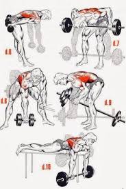 22 Best Lat Workout Images Workout Exercise Back Exercises