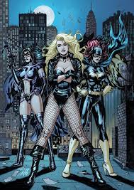 Birds Of Prey Team Main Characters Pin By Elenore On Geek That I Love Dc Comics Girls Dc Comics Characters Gotham Girls