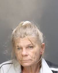 McLennan County Mugshots Application