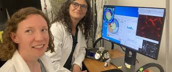 astrocytes Archives • FRAXA Research Foundation