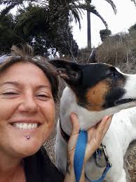 Black Fly Infestation at Northern Michigan Beaches