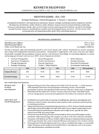 CEO / CFO Executive Resume Example