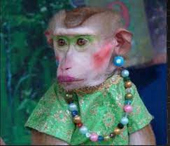 Somebody S Been Playing In The Makeup Monkey Pictures Funny Monkey Pictures Monkeys Funny