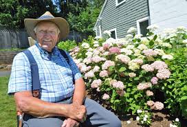Duxbury Hydrangea Tour features 5 gardens, 10 plein air artists