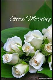 Romantic Good Morning Text For Him Good Morning Flowers Good Morning Beautiful Images Good Morning Photos
