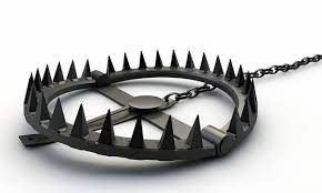 Top 5 Survival Traps Best Diy Traps For Catching Wild Animals Animals Wild Bear Trap Trap Art