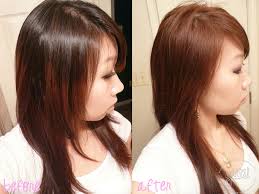 Auburn Brown Hair Color Highlights Honey Sophie Hairstyles
