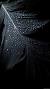 Flower Black Background Wallpaper