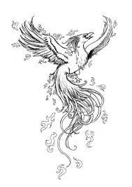 Fantasy art birds tattoo animal drawings bird drawings mythical creatures drawings bird photography mythical creatures bird phoenix drawing. 10 Drawings Of A Phoenix Bird Phoenix Drawing Phoenix Tattoo Phoenix Bird