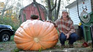 Image result for giant pumpkin