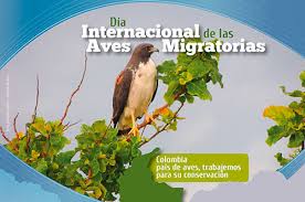 Se eligió esa fecha con la finalidad de concientizar a todo el mundo sobre el cuidado y la conservación de las distintas especies, así como del cuidado de sus hábitats. Proyecto Guardianes Del Templo Del Jaguar Por Un Planeta Mejor Hoy 9 De Mayo Dia Mundial De Las Aves Migratorias