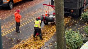 Leaf cleaning underway in...