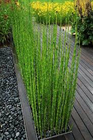Le Jardin Paysager Tendance Moderne De Jardinage Archzine Fr Idees Jardin Jardin Paysager Jardin Contemporain