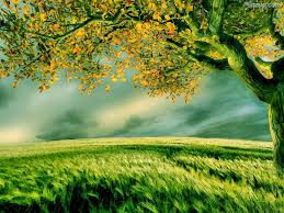 Download in under 30 seconds. Nice Pictures Of Nature