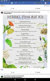 Pin By Kim Hannah Pearse On All Natural Healing Chamomile Flowers Herbalism Fennel Seeds